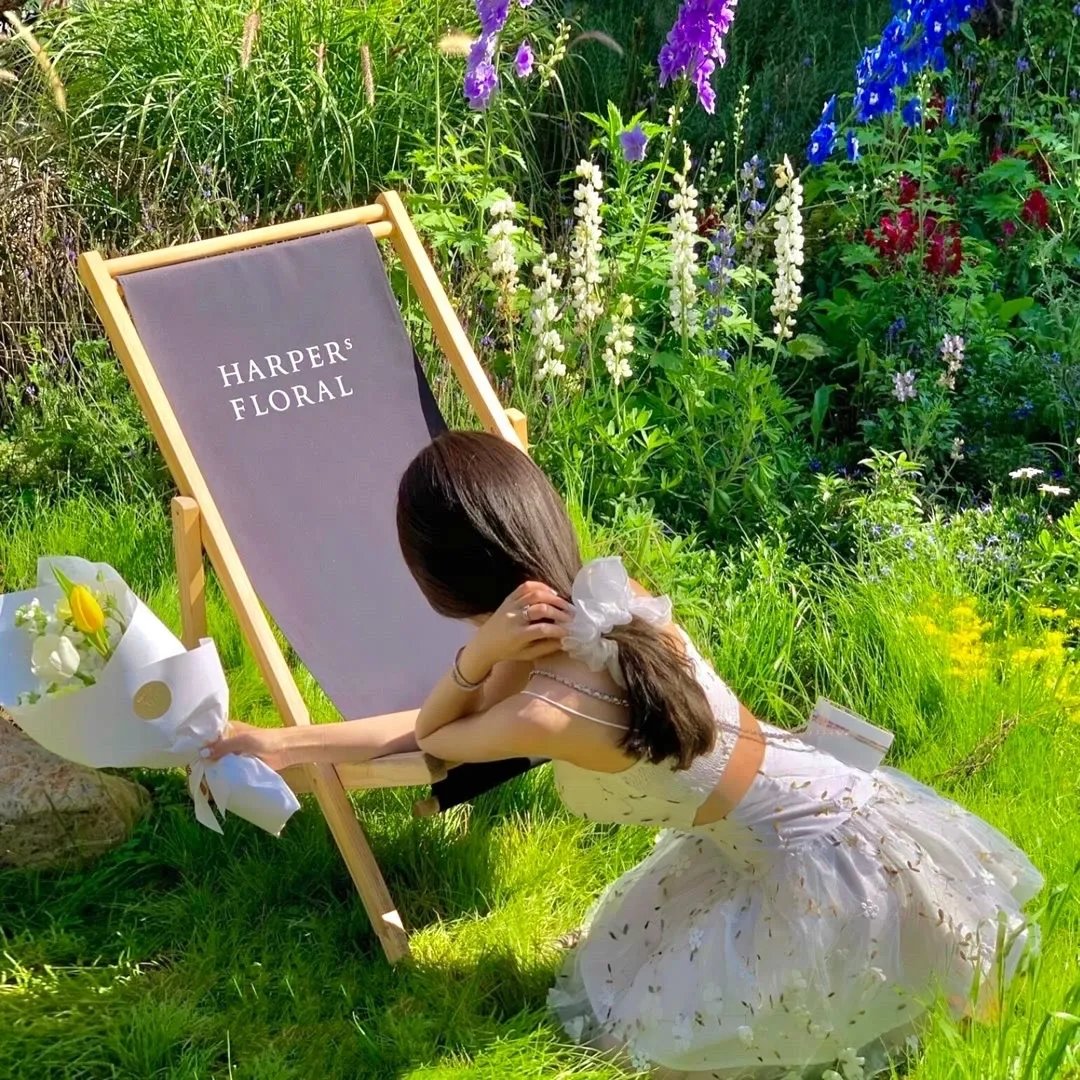 剧场版 物怪 第二章 火鼠